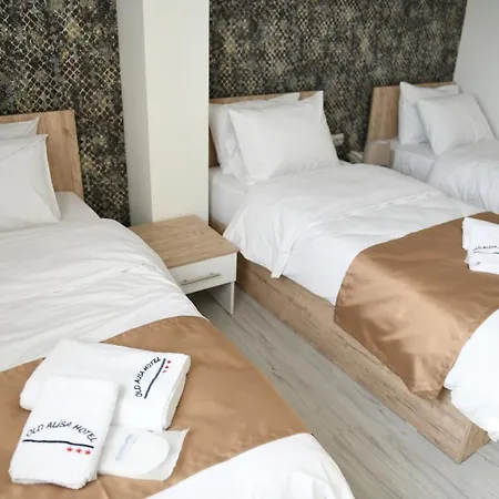 Old Alisa Hotel Skopje